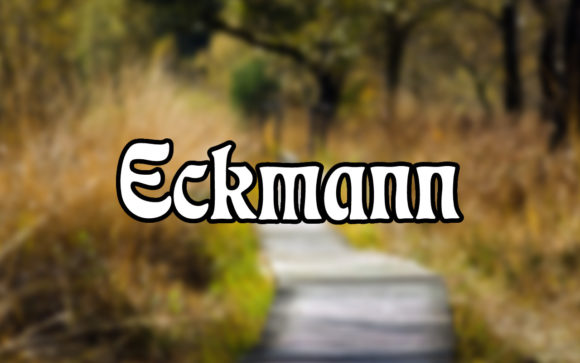 Eckmann: A Serif Font That Balances Artistry and Clarity