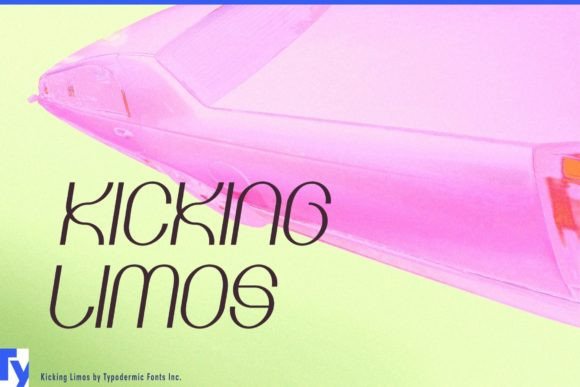 Exploring Kicking Limos: A Loop of Elegant Style