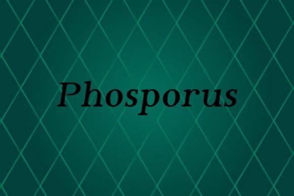 Phosporus: The Modern Sans Serif for Every Brand